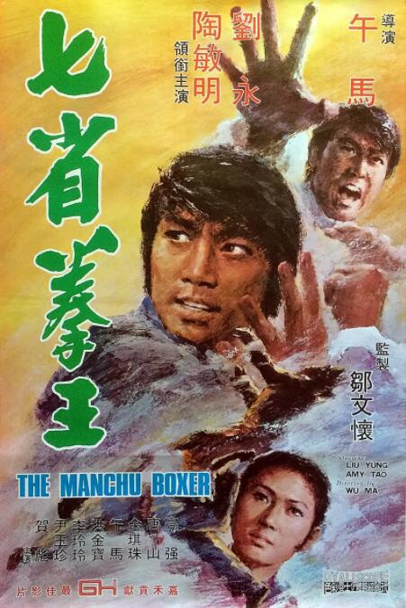 《隐藏的面孔》海报